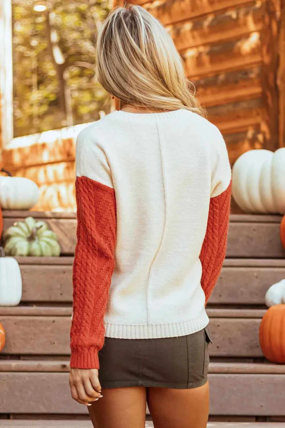 Color Block Round Neck Long Sleeve Sweater - Velvet Stardust Co.