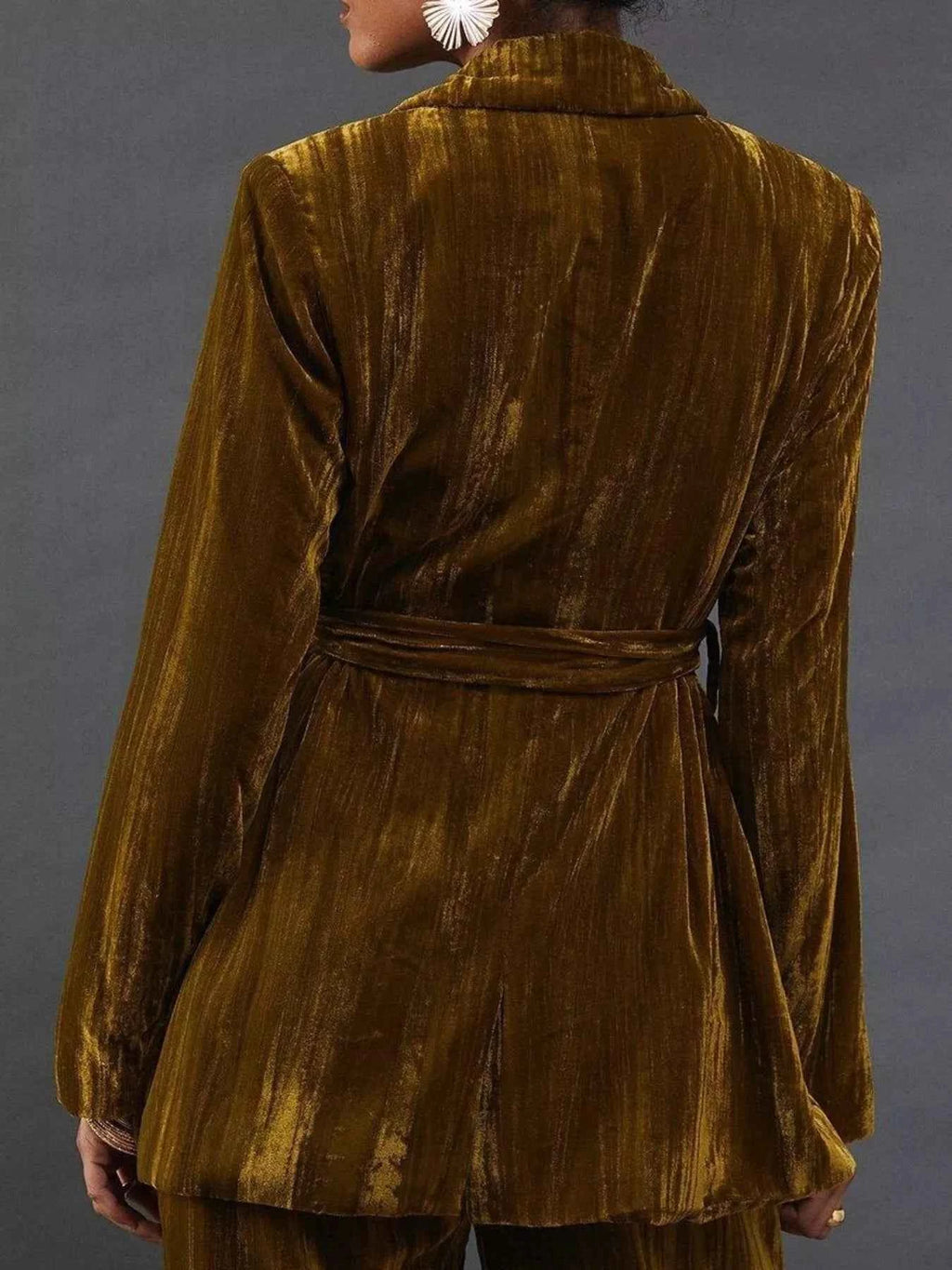 Velvet Lapel Collar Blazer & Pants Set - Velvet Stardust Co. - Velvet Stardust Co.