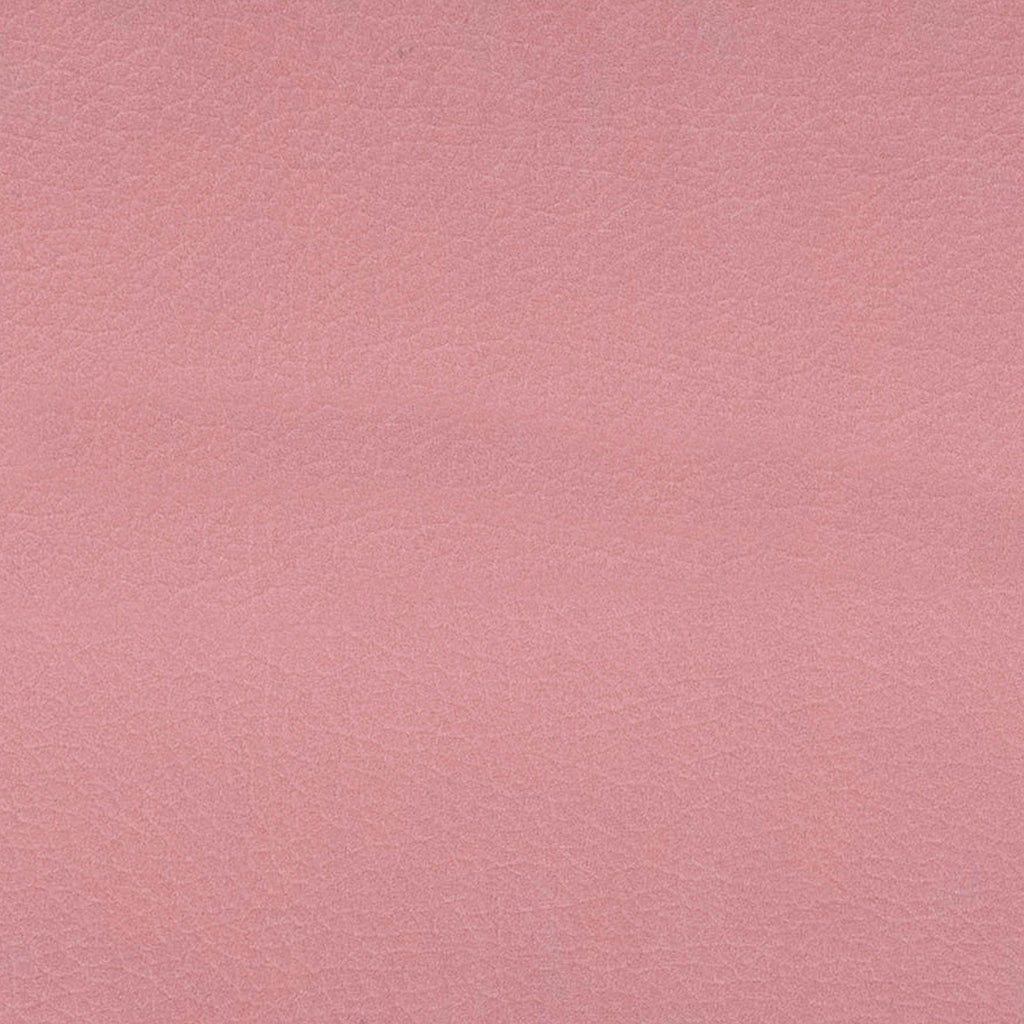 Crosley Cruiser Premier Vinyl Record Player with Speakers & Bluetooth
🎧 Vintage soul. Modern sound